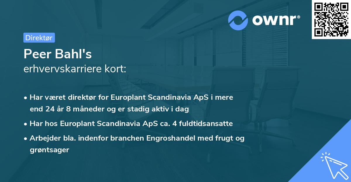 Peer Bahl's erhvervskarriere kort
