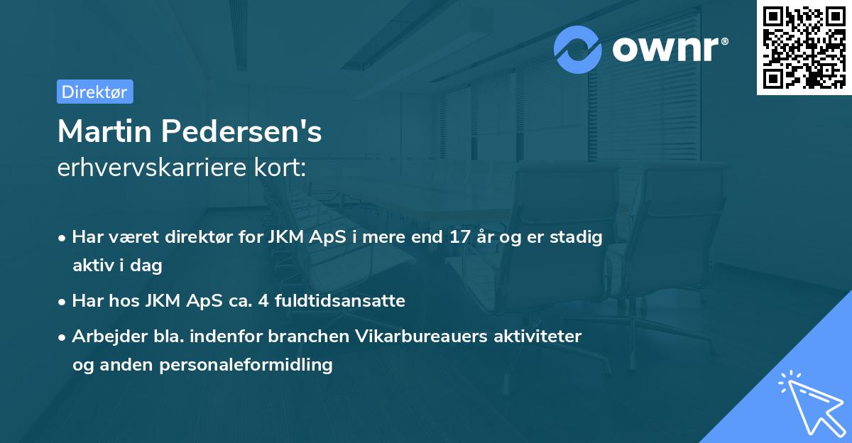 Martin Pedersen's erhvervskarriere kort