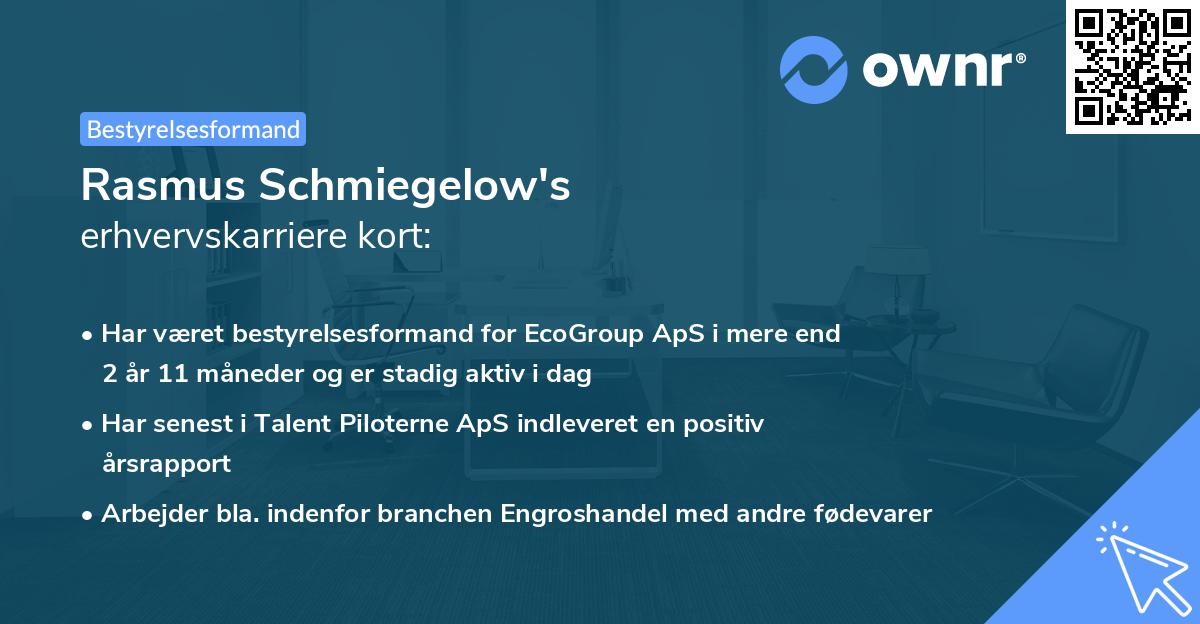 Rasmus Schmiegelow's erhvervskarriere kort