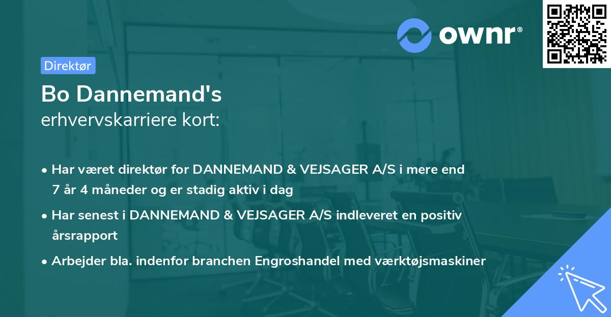 Bo Dannemand's erhvervskarriere kort
