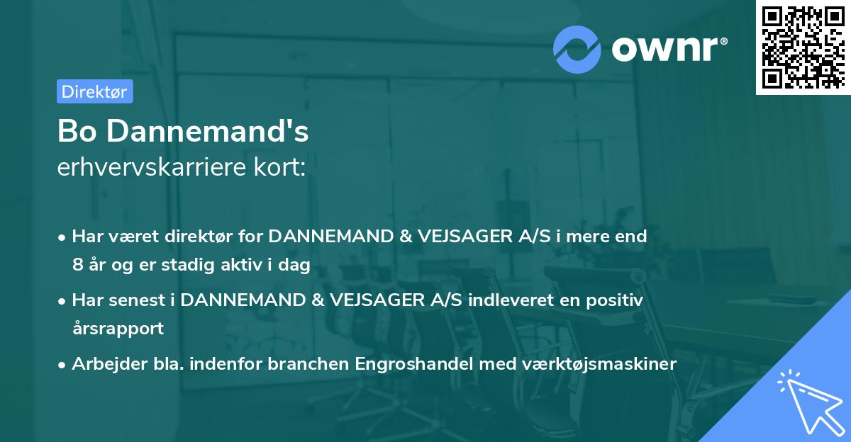 Bo Dannemand's erhvervskarriere kort