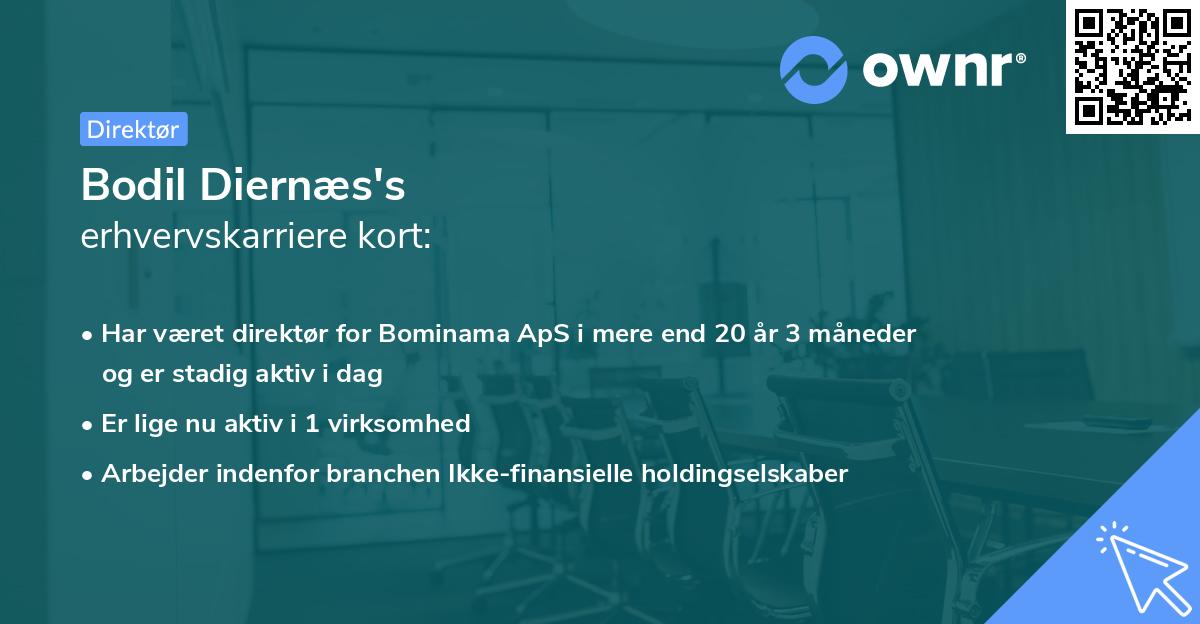 Bodil Diernæs's erhvervskarriere kort