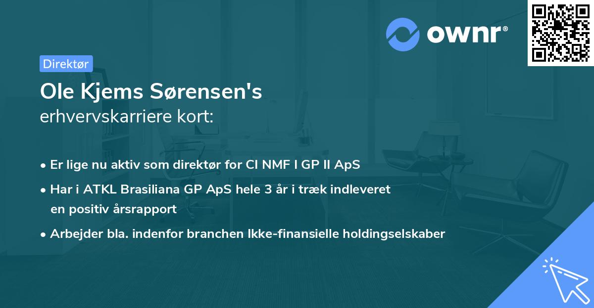 Ole Kjems Sørensen's erhvervskarriere kort