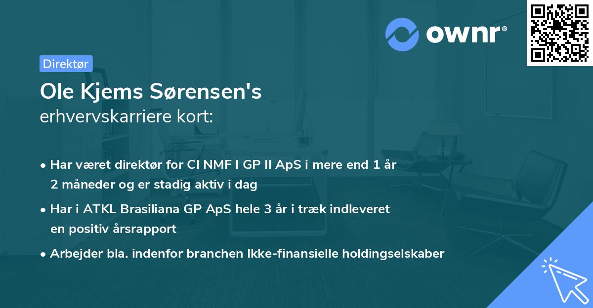 Ole Kjems Sørensen's erhvervskarriere kort