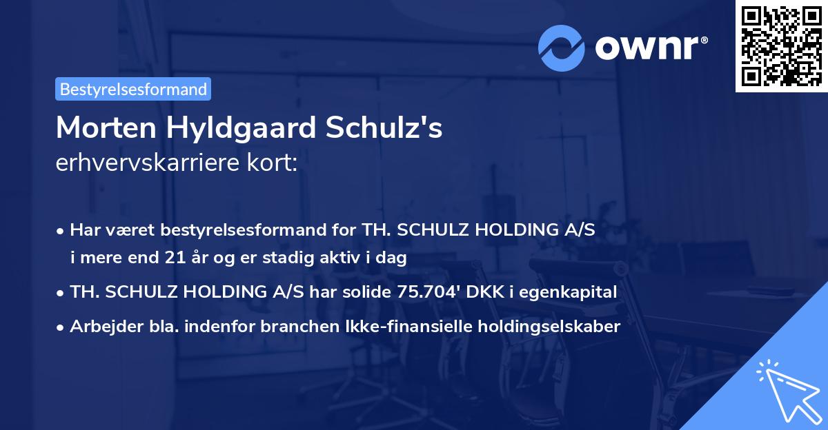 Morten Hyldgaard Schulz's erhvervskarriere kort