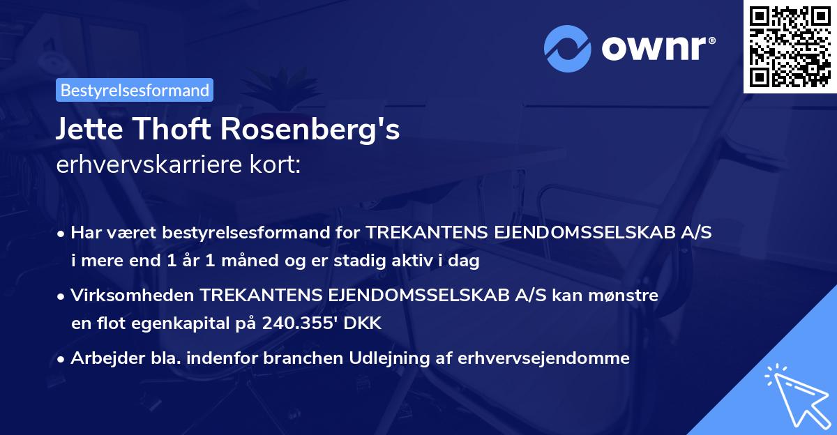 Jette Thoft Rosenberg's erhvervskarriere kort