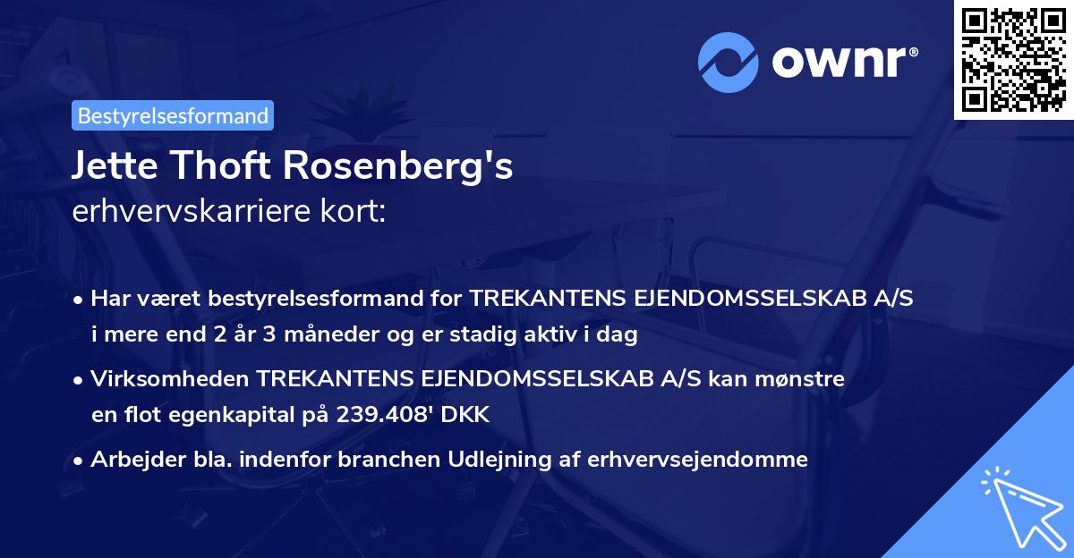 Jette Thoft Rosenberg's erhvervskarriere kort