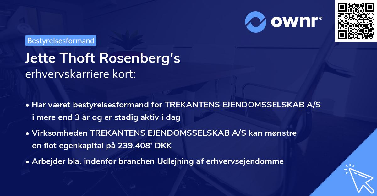 Jette Thoft Rosenberg's erhvervskarriere kort