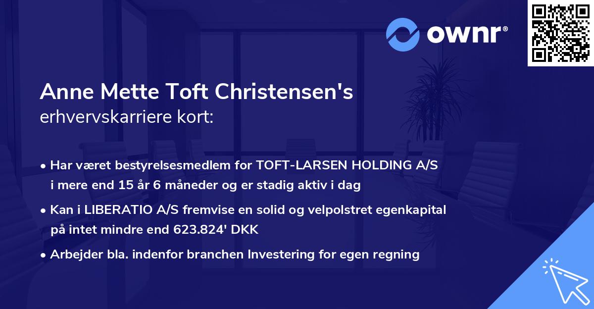 Anne Mette Toft Christensen's erhvervskarriere kort