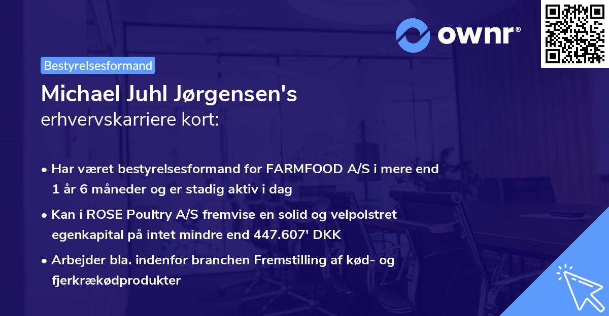Michael Juhl Jørgensen's erhvervskarriere kort