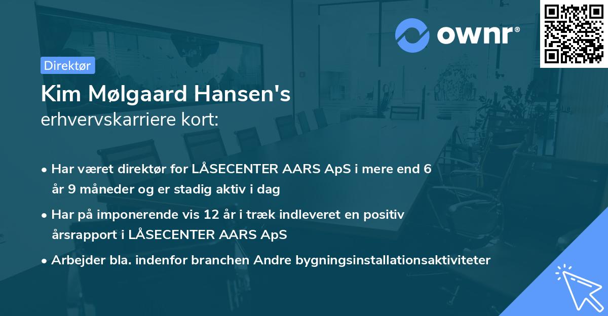 Kim Mølgaard Hansen's erhvervskarriere kort