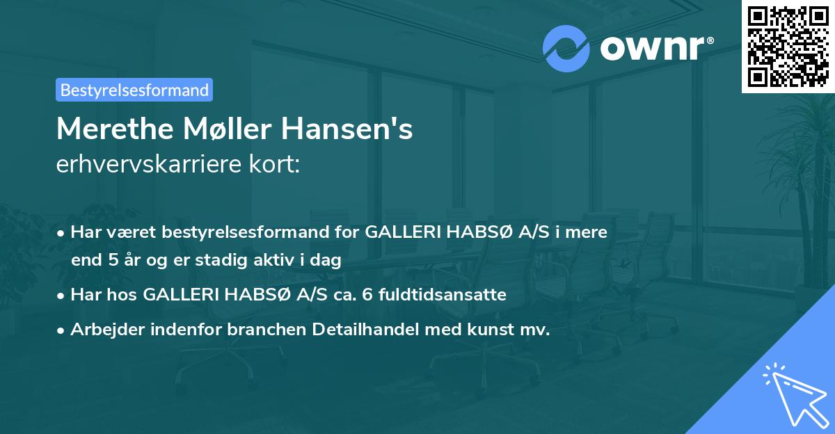Merethe Møller Hansen's erhvervskarriere kort