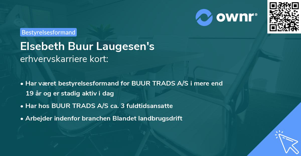 Elsebeth Buur Laugesen's erhvervskarriere kort