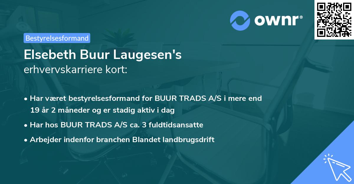 Elsebeth Buur Laugesen's erhvervskarriere kort