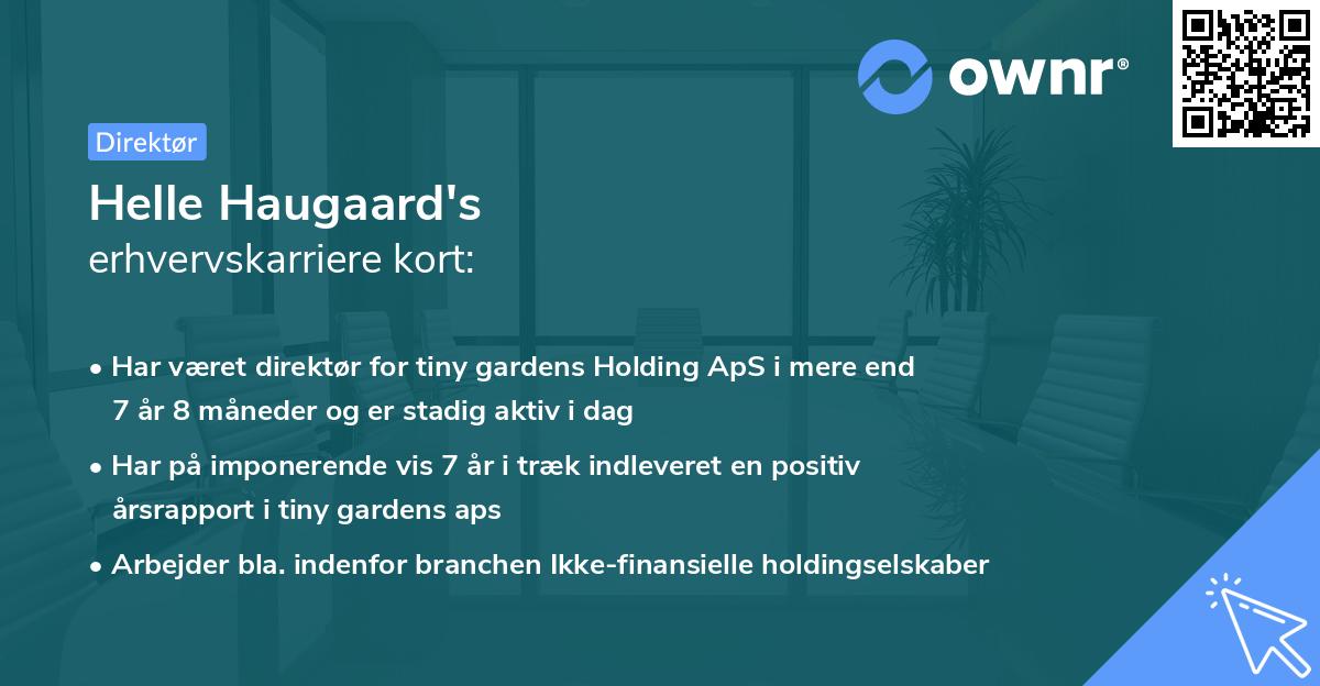 Helle Haugaard's erhvervskarriere kort