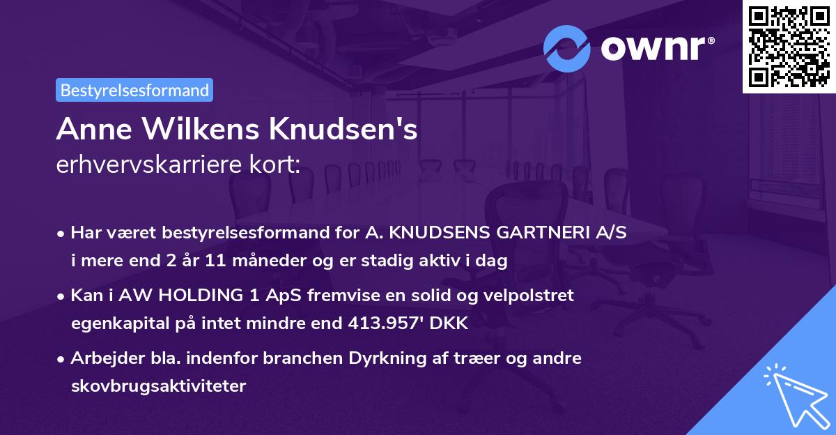 Anne Wilkens Knudsen's erhvervskarriere kort