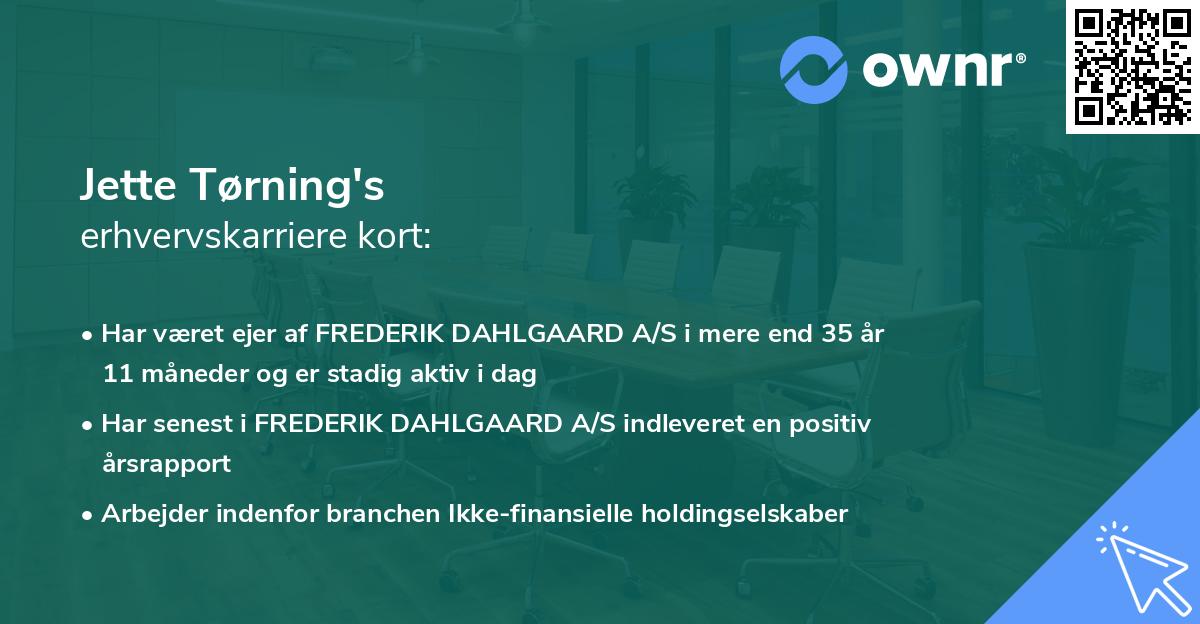 Jette Tørning's erhvervskarriere kort