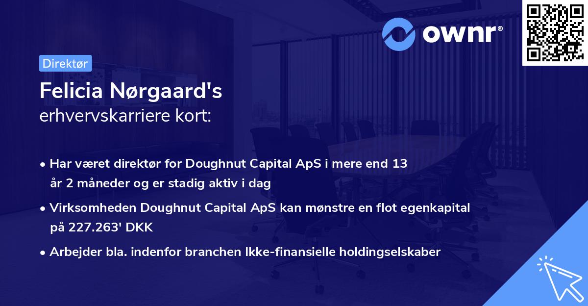 Felicia Nørgaard's erhvervskarriere kort