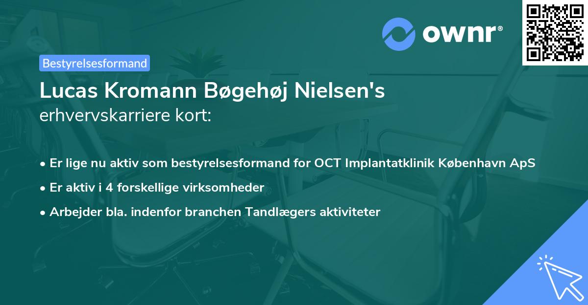 Lucas Kromann Bøgehøj Nielsen's erhvervskarriere kort