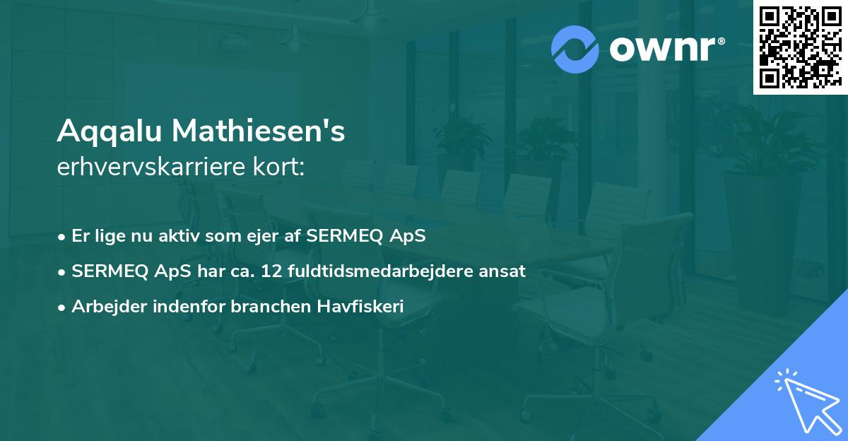 Aqqalu Mathiesen's erhvervskarriere kort