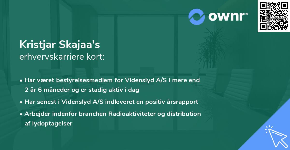 Kristjar Skajaa's erhvervskarriere kort