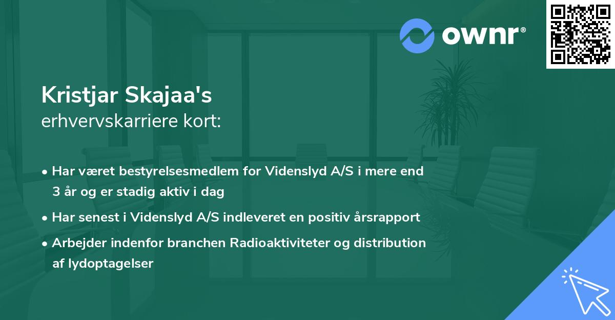 Kristjar Skajaa's erhvervskarriere kort