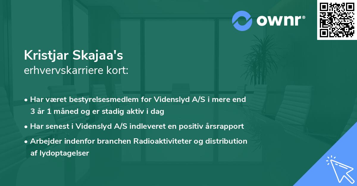 Kristjar Skajaa's erhvervskarriere kort