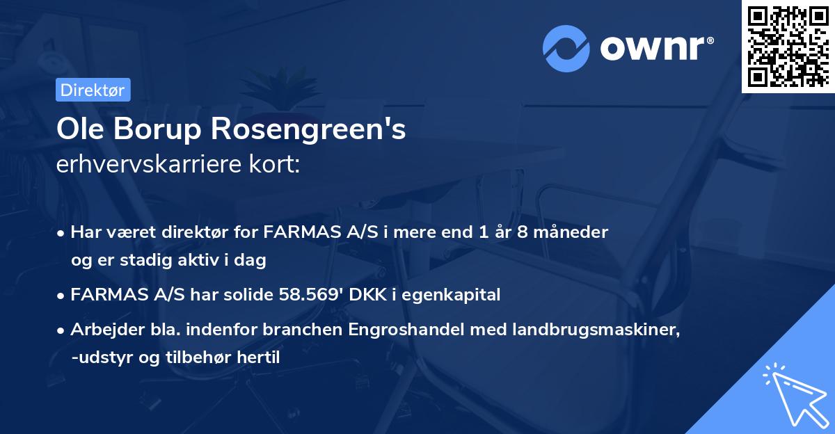 Ole Borup Rosengreen's erhvervskarriere kort