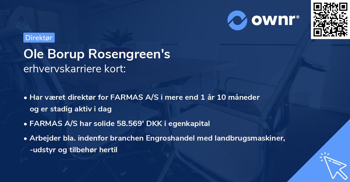 Ole Borup Rosengreen's erhvervskarriere kort