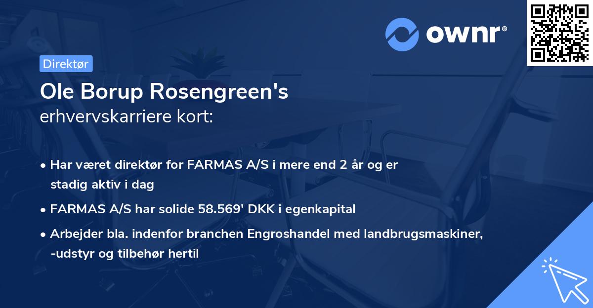Ole Borup Rosengreen's erhvervskarriere kort