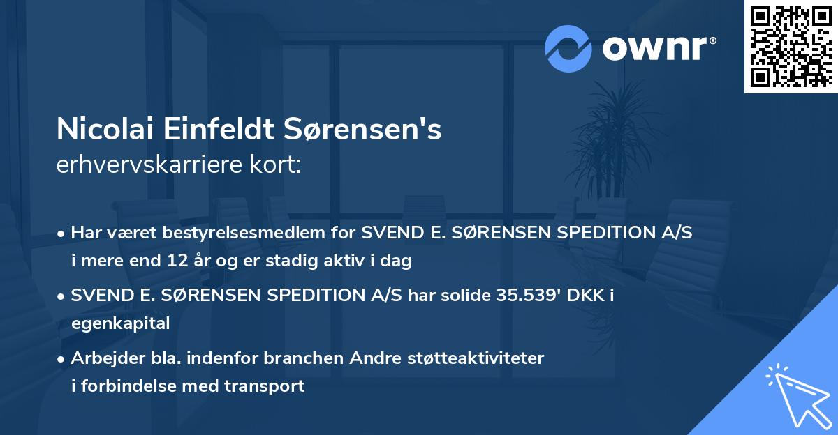Nicolai Einfeldt Sørensen's erhvervskarriere kort