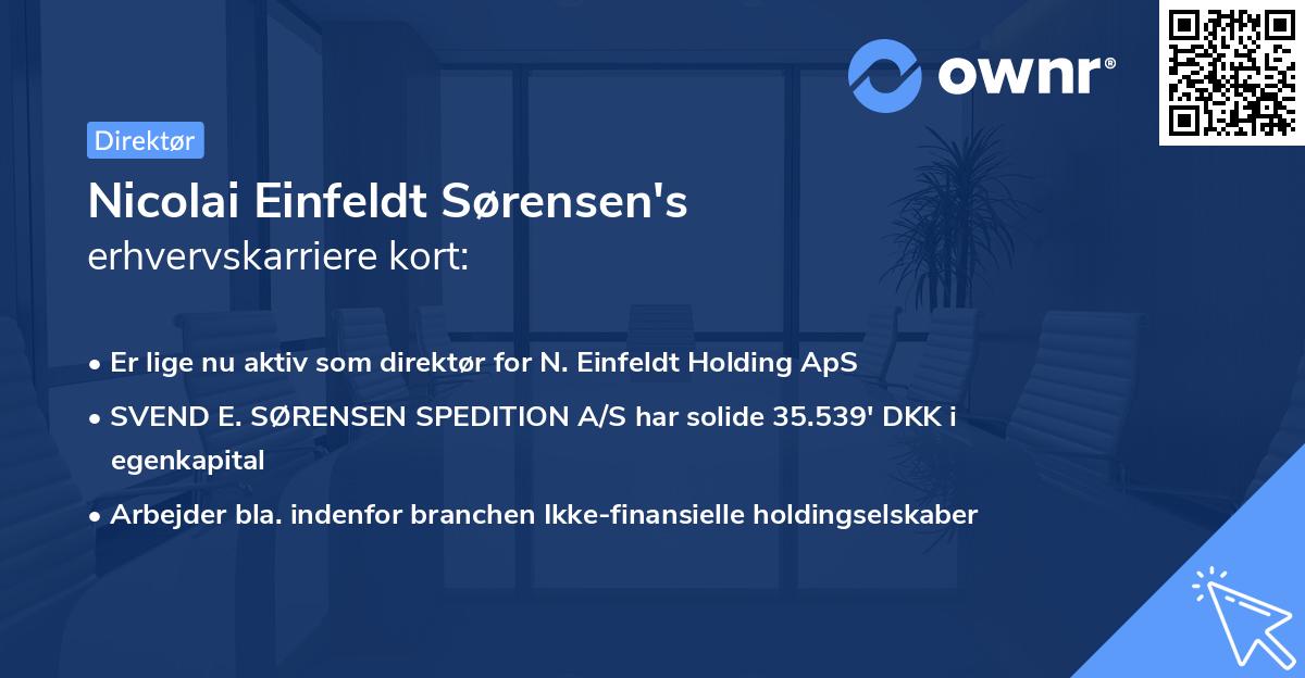 Nicolai Einfeldt Sørensen's erhvervskarriere kort