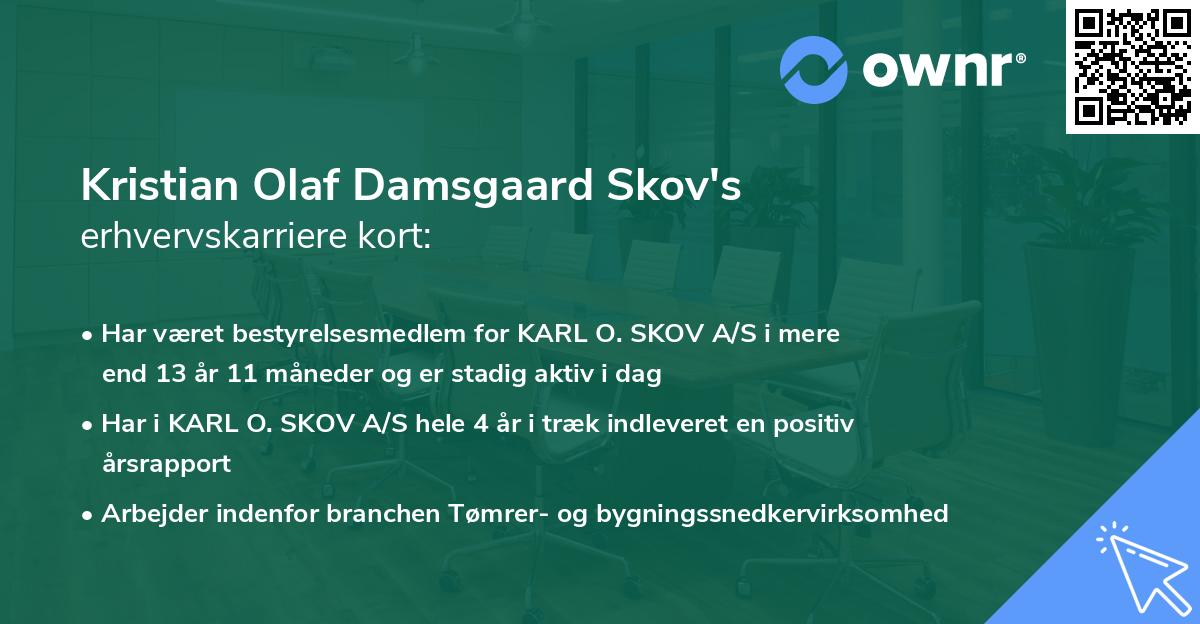 Kristian Olaf Damsgaard Skov's erhvervskarriere kort