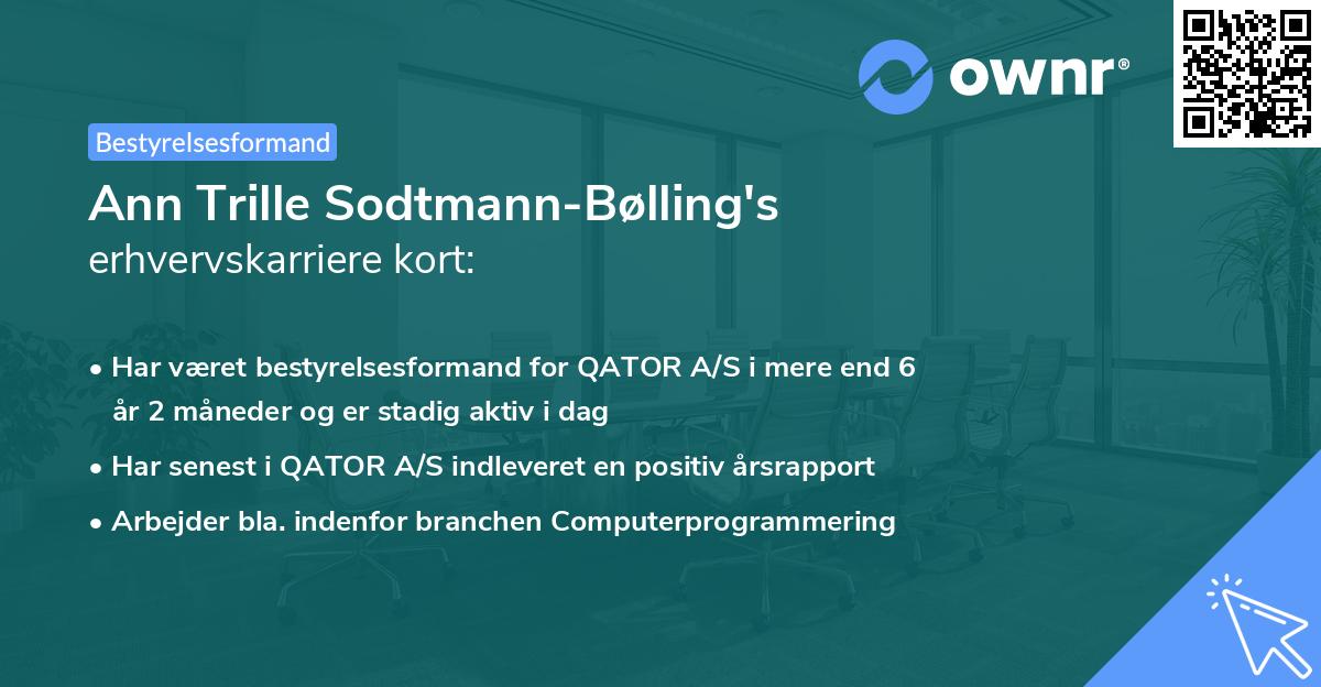 Ann Trille Sodtmann-Bølling's erhvervskarriere kort