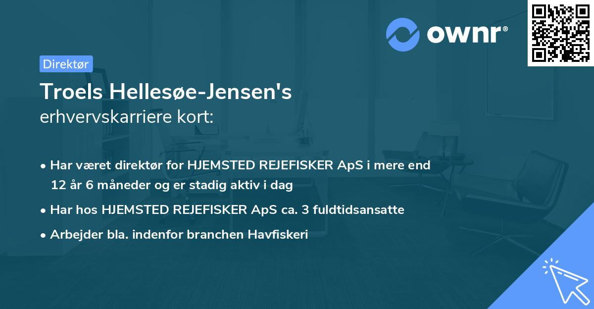 Troels Hellesøe-Jensen's erhvervskarriere kort
