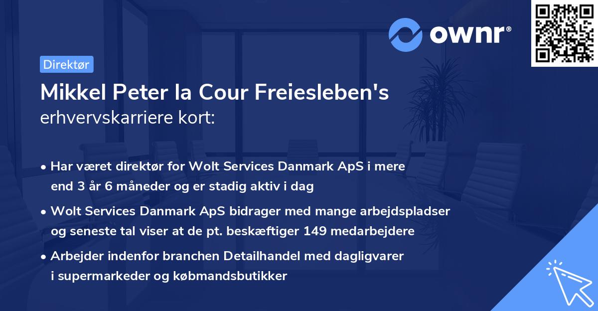 Mikkel Peter la Cour Freiesleben's erhvervskarriere kort