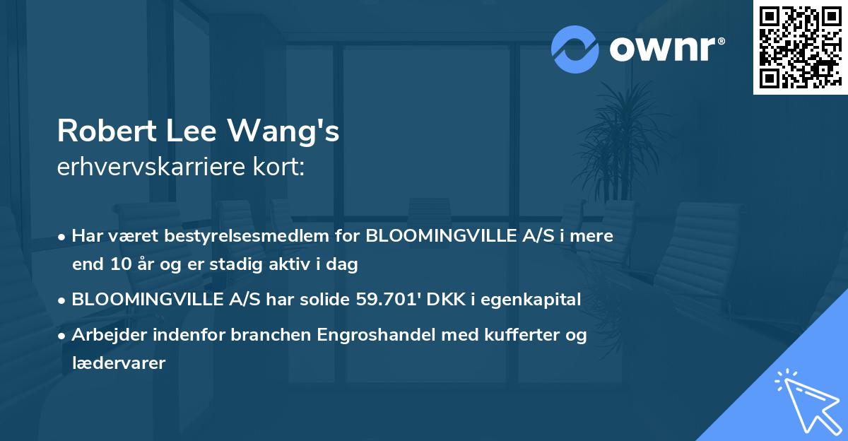 Robert Lee Wang's erhvervskarriere kort