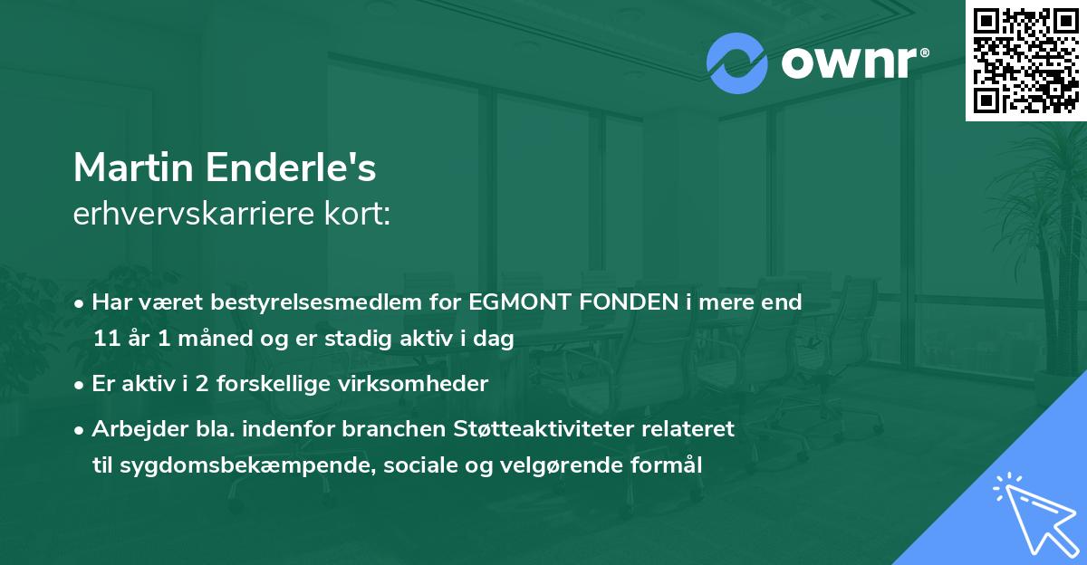 Martin Enderle's erhvervskarriere kort