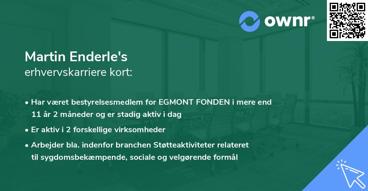 Martin Enderle's erhvervskarriere kort