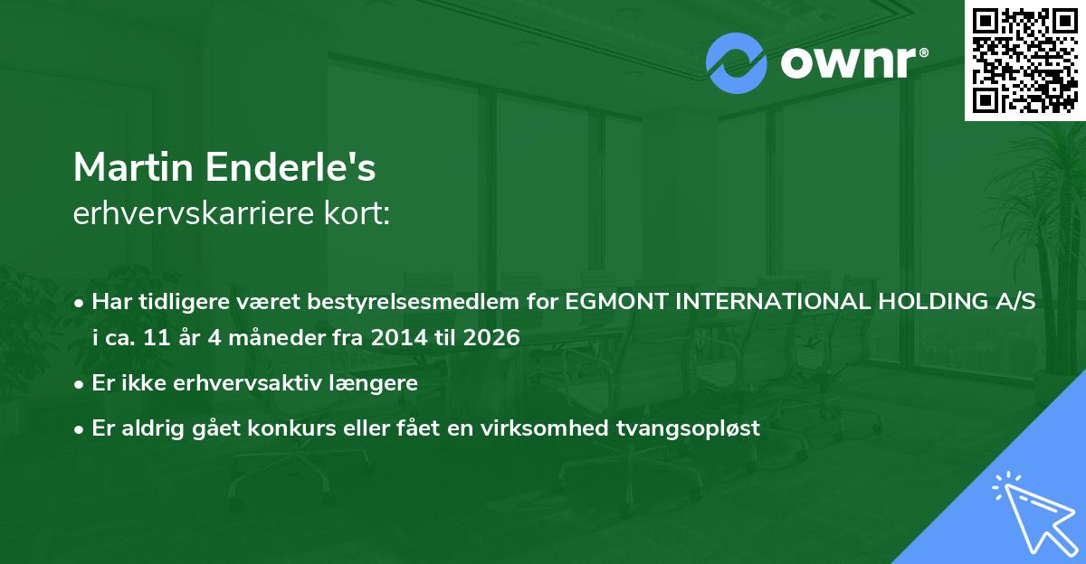 Martin Enderle's erhvervskarriere kort