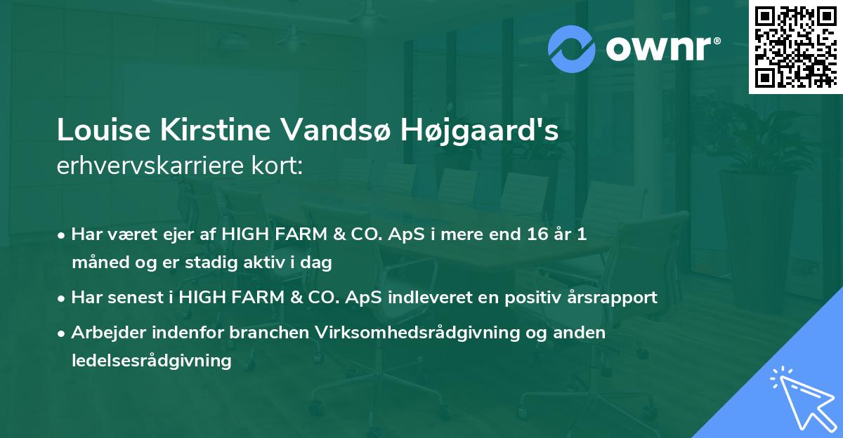 Louise Kirstine Vandsø Højgaard's erhvervskarriere kort