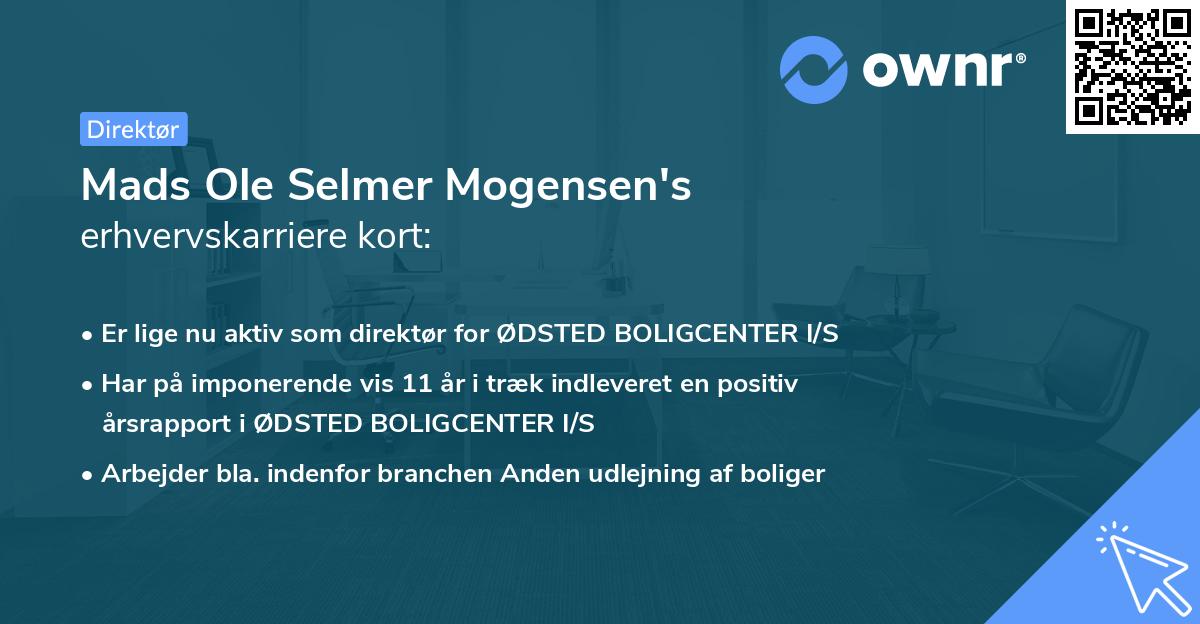 Mads Ole Selmer Mogensen's erhvervskarriere kort