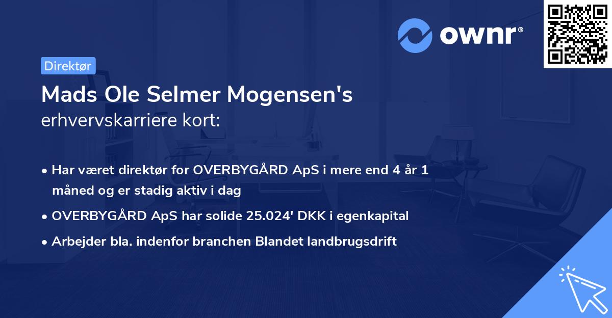 Mads Ole Selmer Mogensen's erhvervskarriere kort