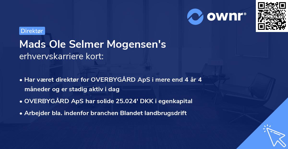 Mads Ole Selmer Mogensen's erhvervskarriere kort