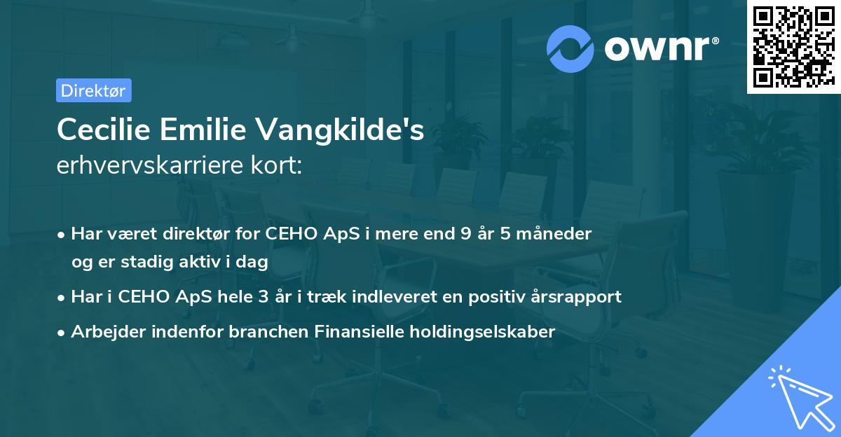 Cecilie Emilie Vangkilde's erhvervskarriere kort