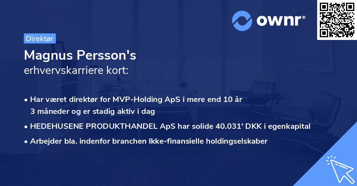 Magnus Persson's erhvervskarriere kort