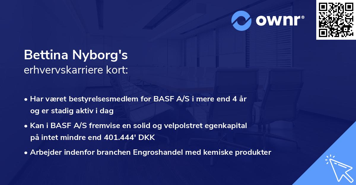 Bettina Nyborg's erhvervskarriere kort