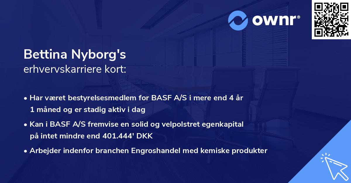 Bettina Nyborg's erhvervskarriere kort