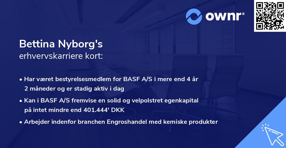 Bettina Nyborg's erhvervskarriere kort