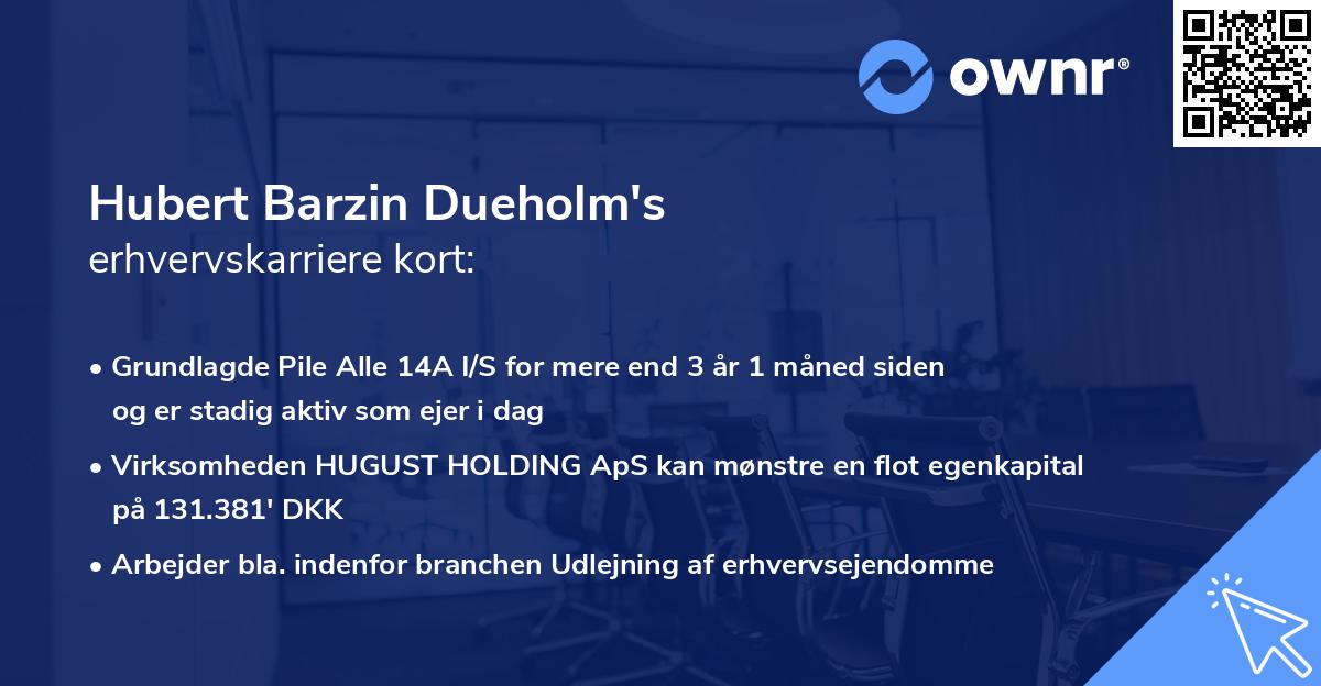 Hubert Barzin Dueholm's erhvervskarriere kort